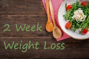 2 Week Weight Loss Plan