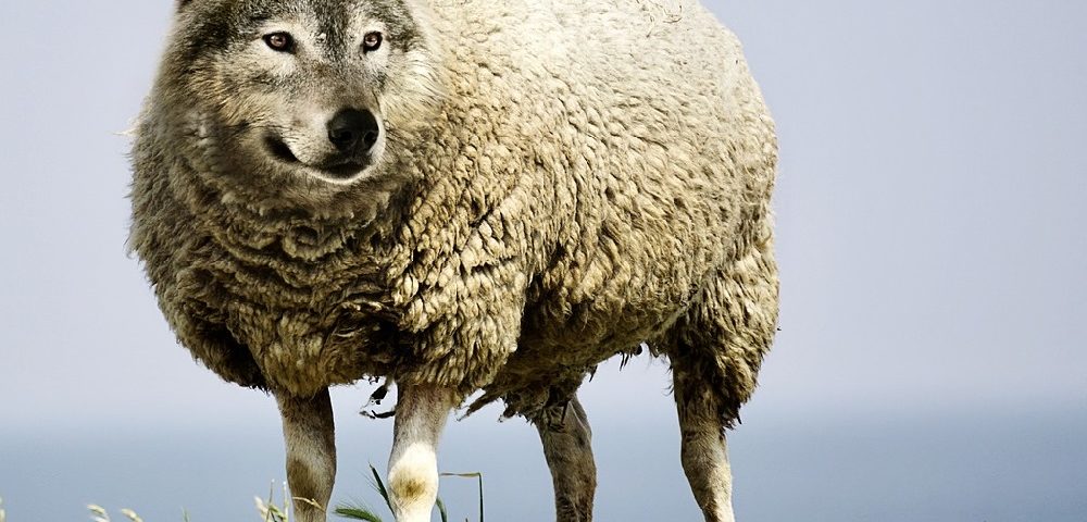 Over the Counter Diet Pills Wolf in Sheep's Clothing